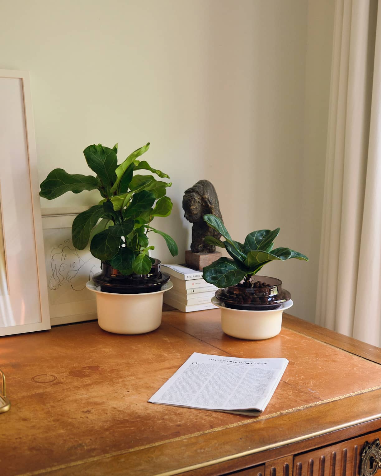 DSCF7742 - Cropped (1)